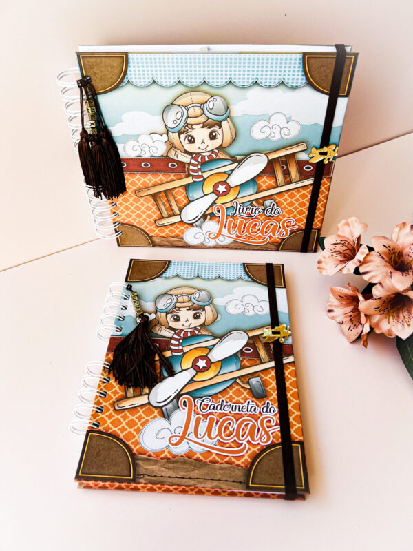 Combo Livro do Bebê + Caderneta de Vacina Aviador