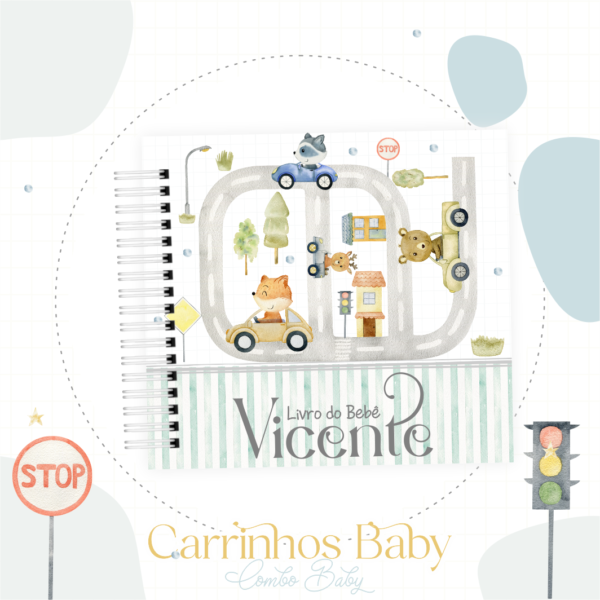 Livro do Bebê Carrinhos Baby