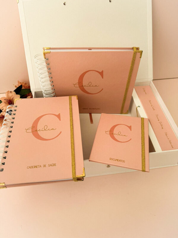 Combo Maternidade Afetiva Memórias - Rosa Chá com Dourado