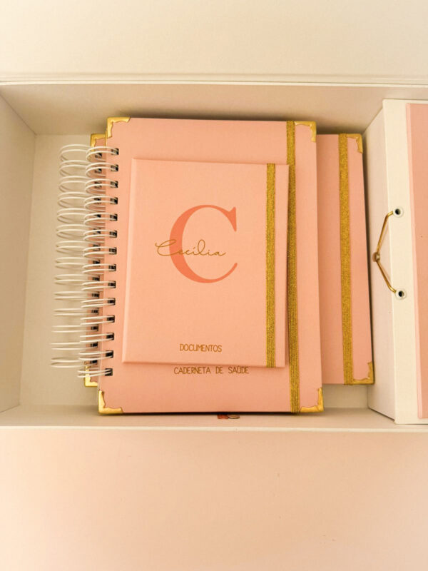 Combo Maternidade Afetiva Memórias - Rosa Chá com Dourado - Imagem 3