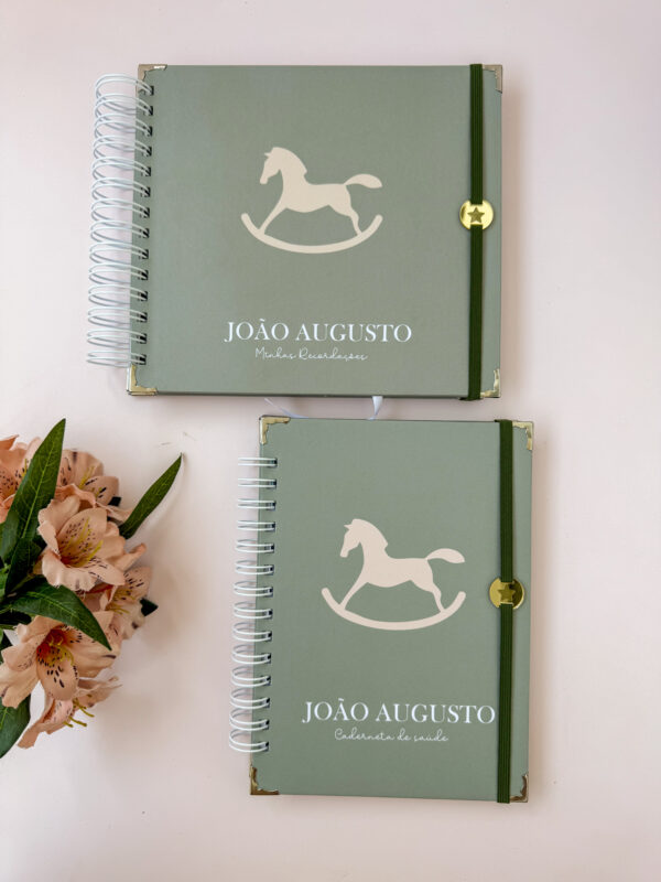 Combo Livro do Bebê + Caderneta de Vacina Cavalinho de Balanço